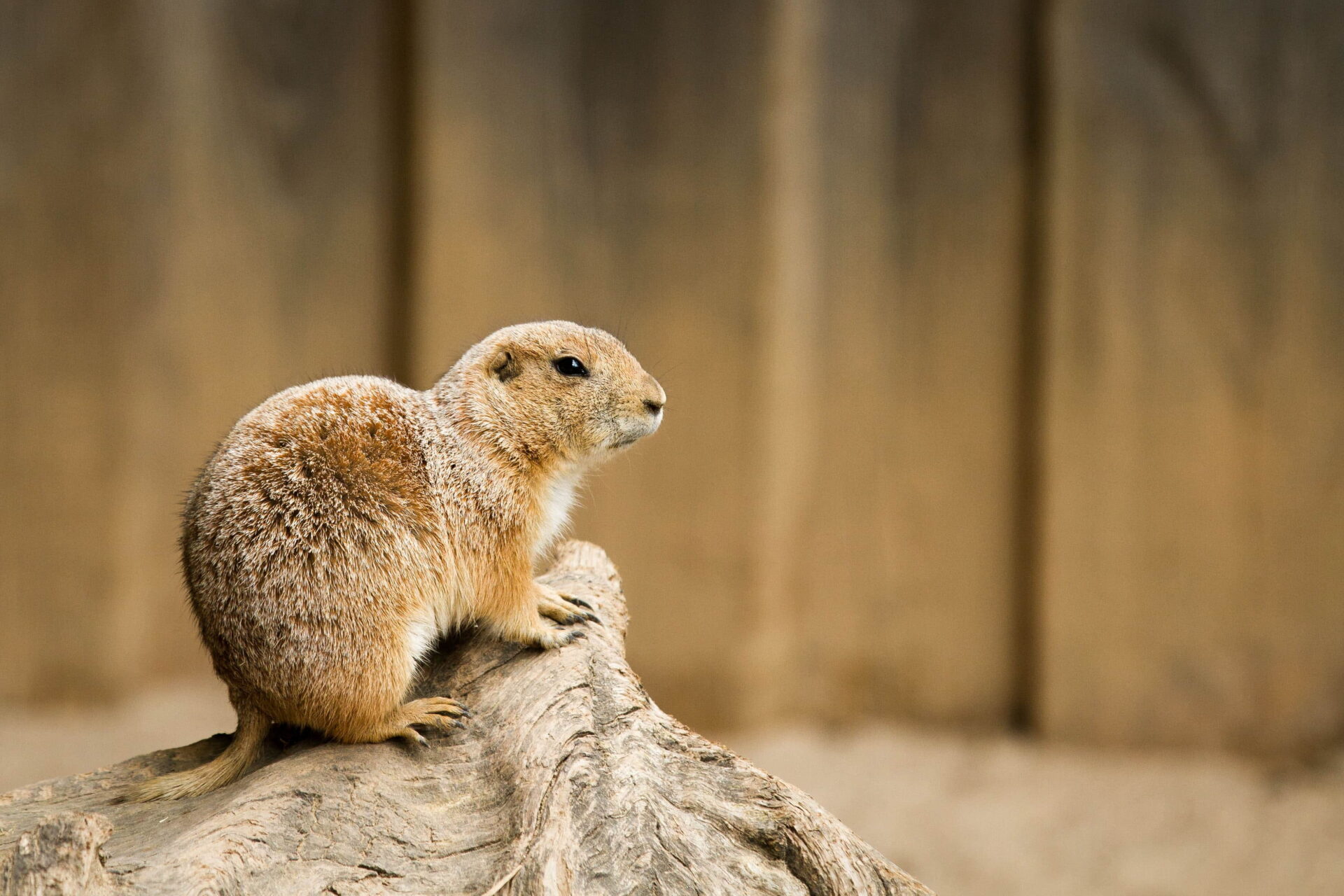 家族葬専用式場練馬高野台